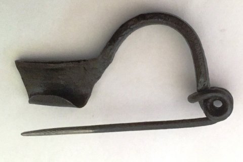 Fibula spnde
